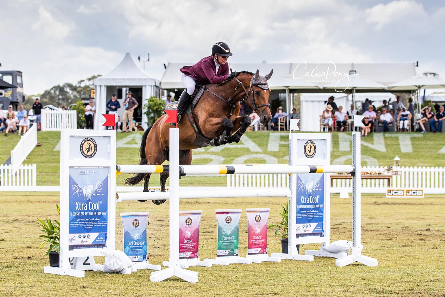 Home Larapinta Equestrian