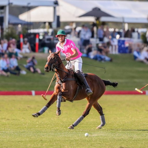 Home Larapinta Equestrian