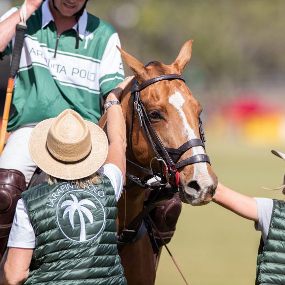 Home Larapinta Equestrian