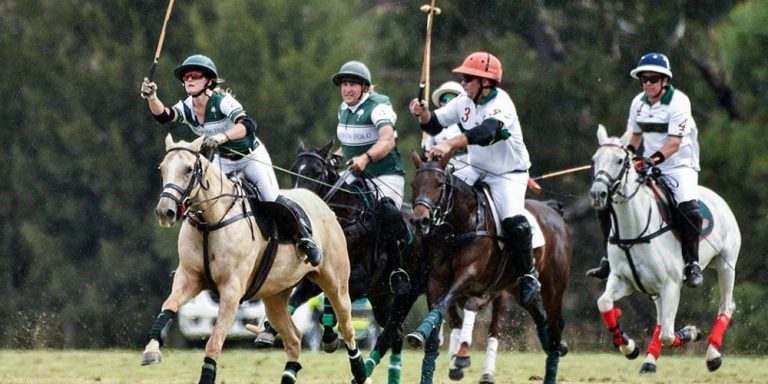 NSW season polo
